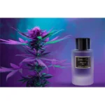 عطر زنانه Sanchez Laurels Fig 100 میلی‌لیتر با طراحی شیک و رایحه طبیعی و گلی