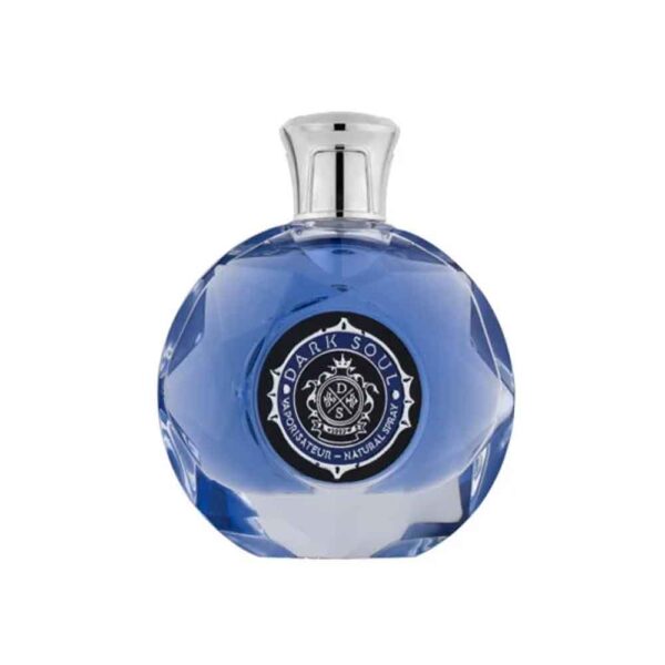 عطر و ادکلن لوئیس آلاویا دارک سول مردانه 100 میلیلیتر