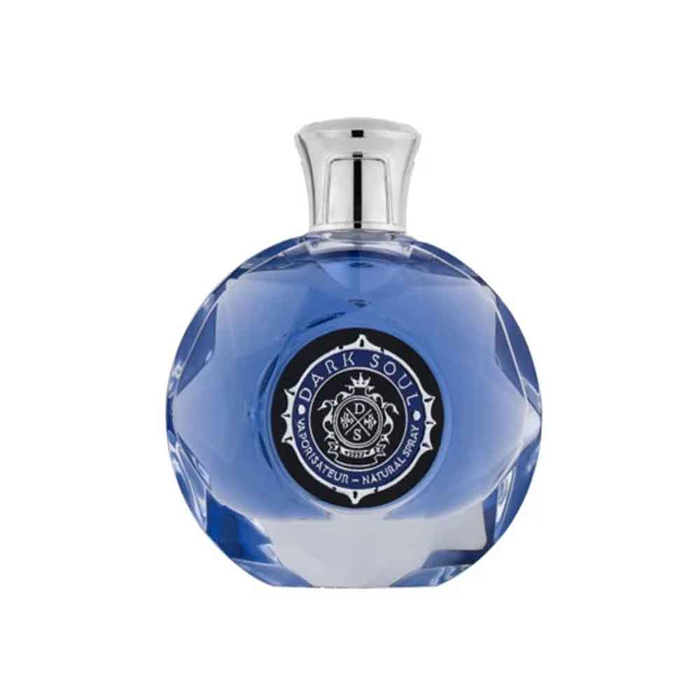عطر و ادکلن لوئیس آلاویا دارک سول مردانه 100 میلی‌لیتر