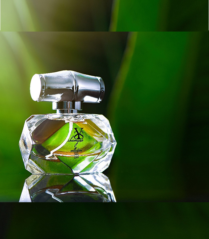 sff45be8bf768da1f331217549363941ff021cb08d40788c9g.jpg ادوو پرفیوم زنانه شمیاس گوچی بامبو 35م - تصویر 1