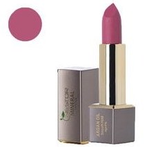 f912cb8647f4ab09bb1759417060255f22cfd5d0414789cdcq.jpg رژ لب جامدنستور301 ویتامینه وگن بدون پارابن حاوی عصاره آرگان و الوورا - تصویر 1