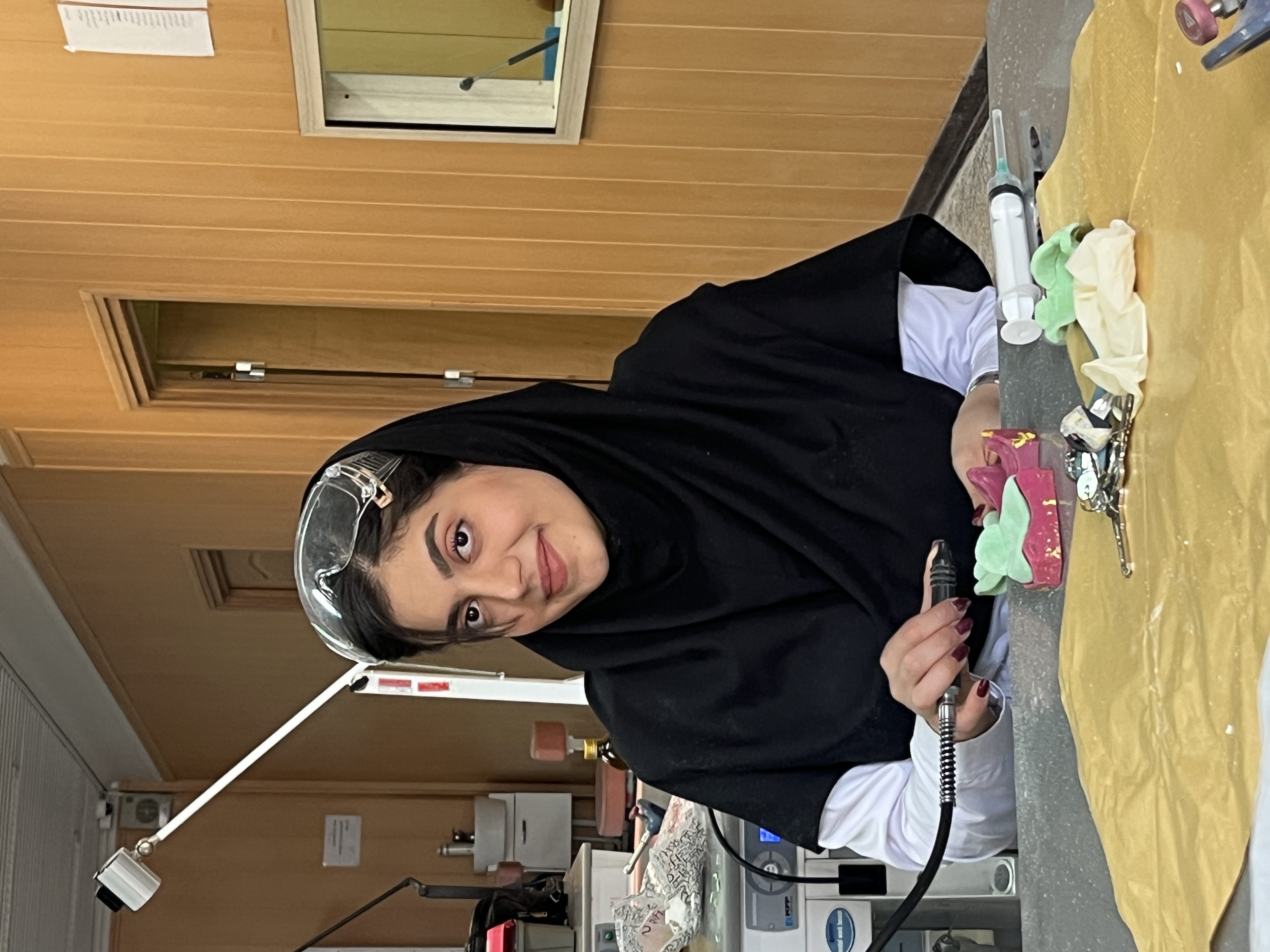 ستایش زمانیان