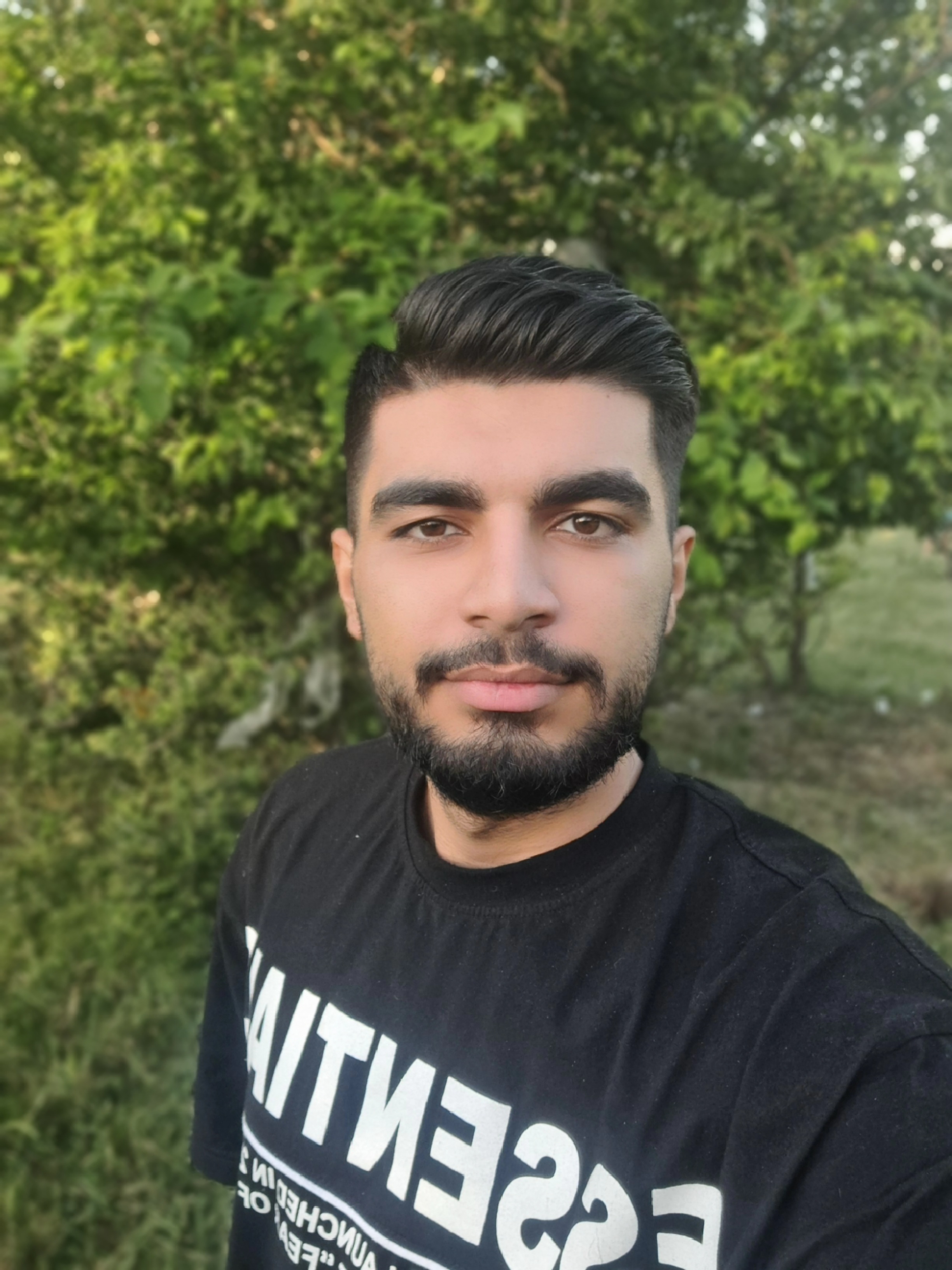 علیرضا سرداری