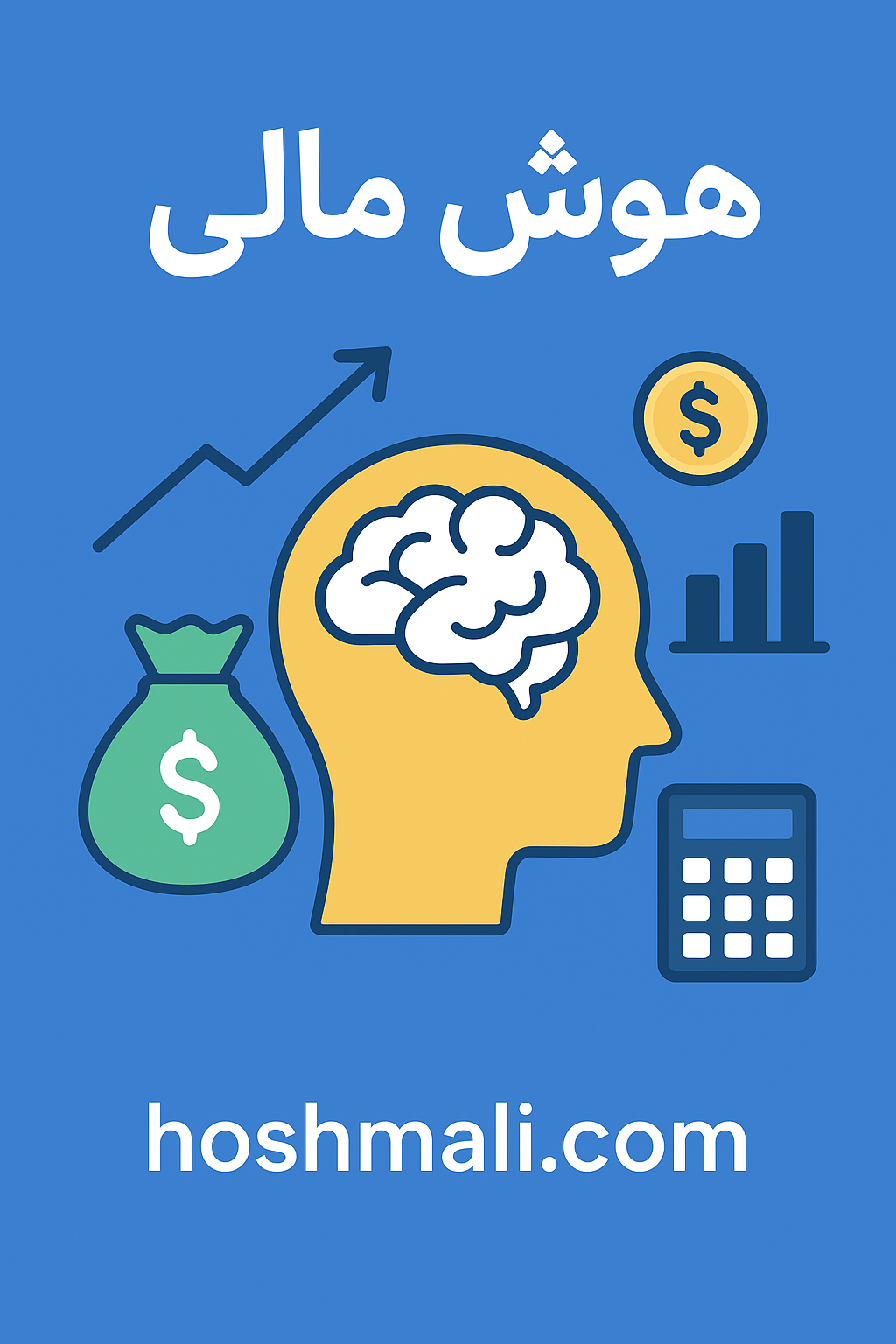 هوش مالی چیست