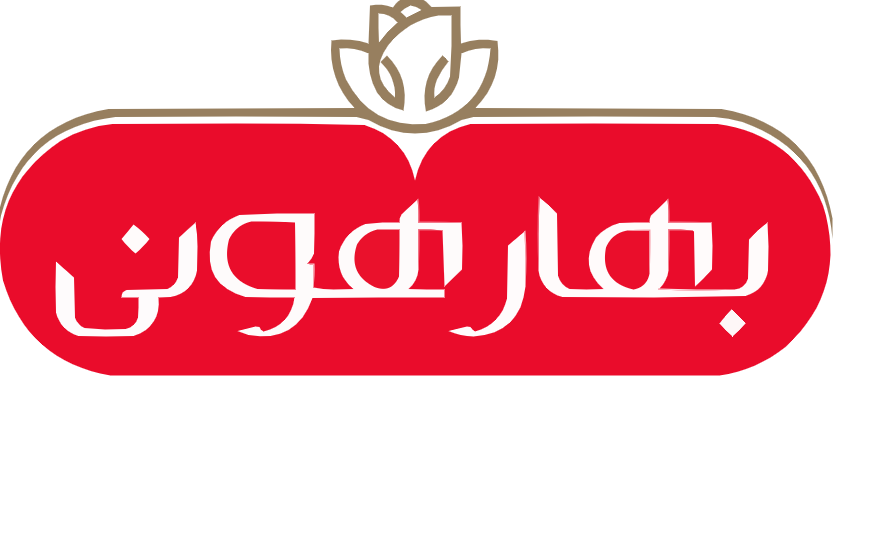 تصویر پروژه اجرای پست و شبکه شرکت بهار هونی 