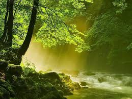 فروشگاه اینترنتی