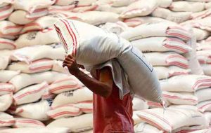 گرانی باز هم در کمین سفره کوچک خانوارها با حذف ارزترجیحی برنج گرانی باز هم در کمین سفره کوچک خانوارها با حذف ارزترجیحی برنج