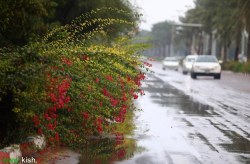 ثبت ۲۶۹.۵ میلی‌متر بارندگی در کیش؛ دو برابر میانگین بلندمدت ۳۲ ساله جزیره